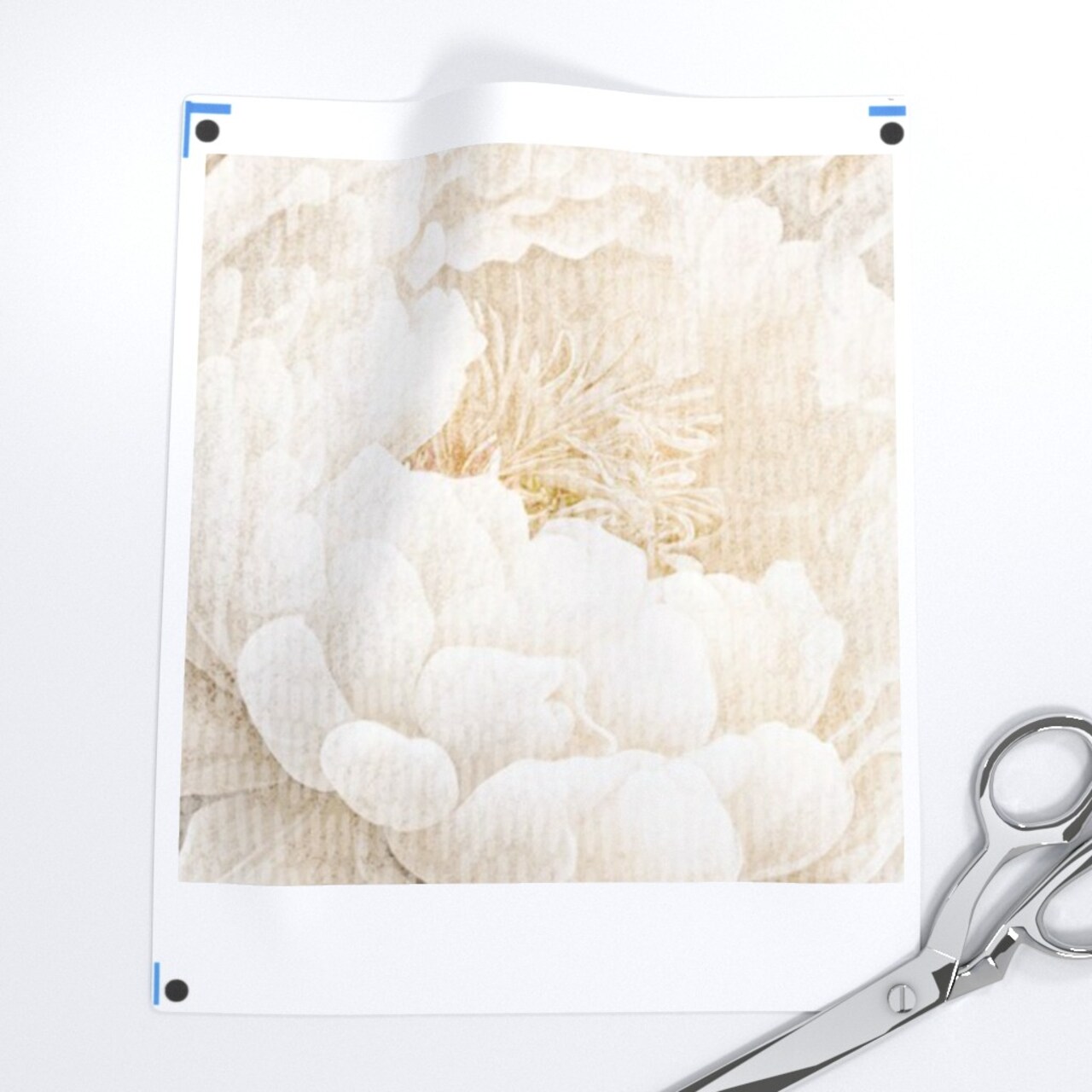 Boho Cottagecore Peony Floral Neutral Flowers Large Scale Classic Custom Pre-pasted Wallpaper by Spoonflower Pre-Pasted Wallpaper 2FT Wide